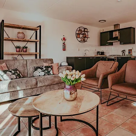 House In 456